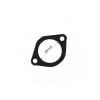 Tridon Thermostat Gasket TTG42