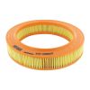 VAICO V10-0607 Air Filter