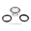 VAICO V22-0382 Wheel Bearing Kit