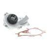 VAICO V42-50001 Engine Cooling Water Pump