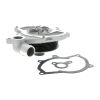 VAICO V45-50001 Engine Cooling Water Pump