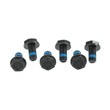Sachs 3096 005 000 Flywheel Bolt Kit