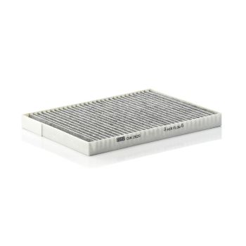 Mann Active Carbon Cabin Filter CUK2620