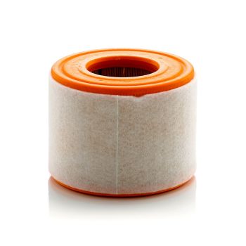 Mann Air Filter C15010