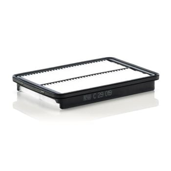 Mann Air Filter C29019