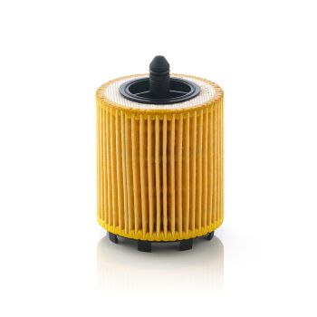 Mann Oil Filter HU6007X