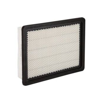 Ryco A2062 Air Filter