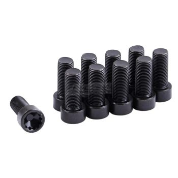 ClutchPro FWBAU07 Flywheel Bolt Set fits Audi 10 x 1.0 x 22.5 (10)