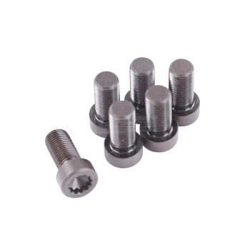 ClutchPro FWBPR02 Flywheel Bolt Set fits Porsche 12 x 1.25 x 25.4 (6)