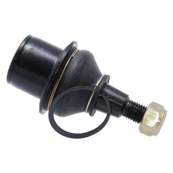 Febest Ball Joint Front Lower 2920-DIIILF