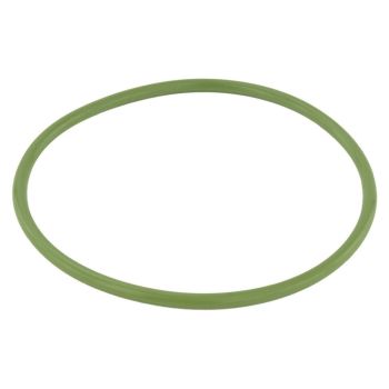 Febest Fuel Pump O-Ring RINGFL-037