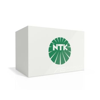 NTK FLFL0053 Fuel Filter