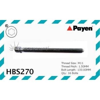 Payen HBS270 Head Bolts Audi/Vw Ack 2 Req. A6/A8/Passat V6 2.8 Litre