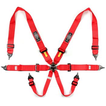 SAAS S6203FIA Harness FIA 6 Point Camlock 3in Red Homologated