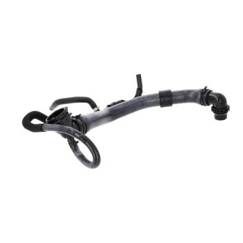 VAICO V10-000111 Radiator Hose