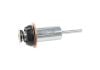 Aeroflow Starter Motor Solenoid Repair Kit 