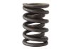 Aeroflow Replacement Dual Valve Spring With Damper 