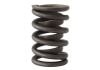 Aeroflow Replacement Dual Valve Spring With Damper 