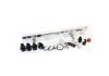 Aeroflow Billet EFI Fuel Rails Polished 