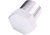 Aeroflow NPT Hex Head Plug 1/4in Silver