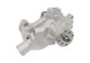 Aeroflow Small Block Chevy Short Water Pump Natural Cast 3/4" Shaft with 5/8" Fan Pilot Snout AF64-2350