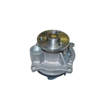Tru-Flow TF8181 Water Pump