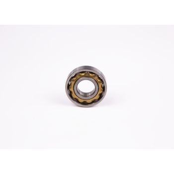 Bosch 1900900018 Ball Bearing