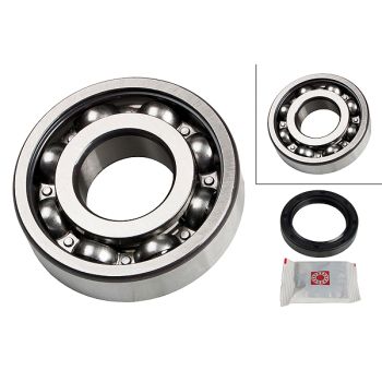FAG Wheel Bearing Kit 713663060