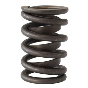 Aeroflow Replacement Valve Spring With Damper 