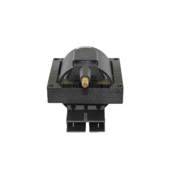 AFI Ignition Coil C9086