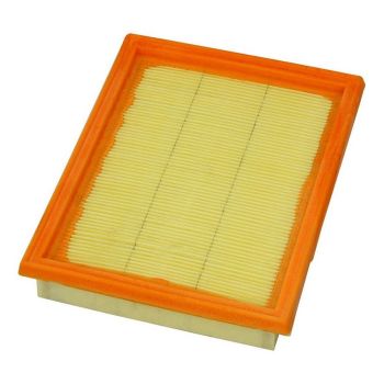 FRAM CA9494 Air Filter