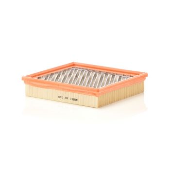 Mann Air Filter C22029