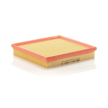 Mann Air Filter C2493