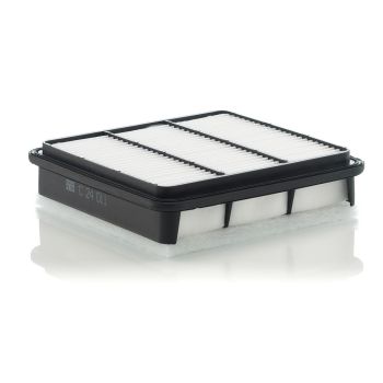Mann Air Filter C24011