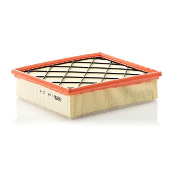 Mann Air Filter C24137/1