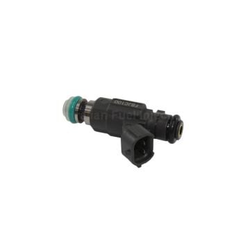 Fuel Injector AFI FIV9545