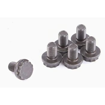 ClutchPro FWBAU05 Flywheel Bolt Set fits Audi 10 x 1.0 x 16 (6)
