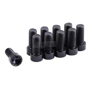 ClutchPro FWBAU07 Flywheel Bolt Set fits Audi 10 x 1.0 x 22.5 (10)