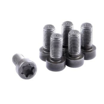 ClutchPro FWBBM12 Flywheel Bolt Set fits BMW 12 x 1.5 x 25 (6)