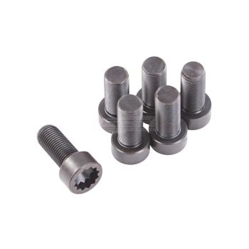 ClutchPro FWBLR03 Flywheel Bolt Set fits Land Rover 10 x 1.0 x 21.2 (6)