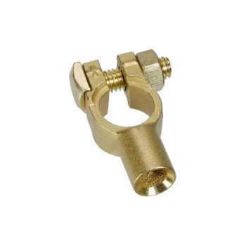 Projecta Brass Battery Terminals BT59-1