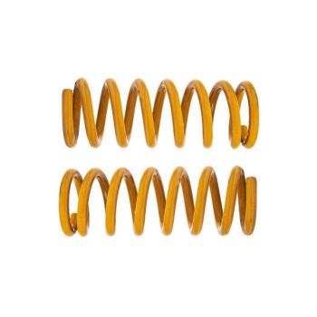 Tough Dog TDC1032 Coil Spring Front