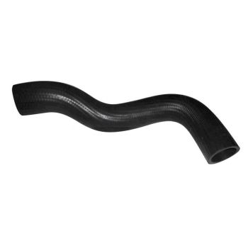 Dayco DMH1106 Moulded Radiator Hose