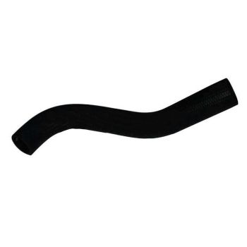 Dayco DMH1164 Moulded Radiator Hose