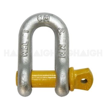 D Shackle Grade S - 10mm Cargo Mate