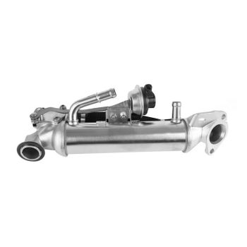 AFI EGRC2112 EGR Cooler Everest Ranger 2015> P5At P4At