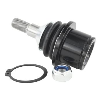 Febest Ball Joint Rear Lower Arm 1220-JX1R