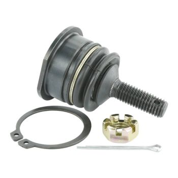 Febest Ball Joint Front Upper Arm 3220-SRXUF
