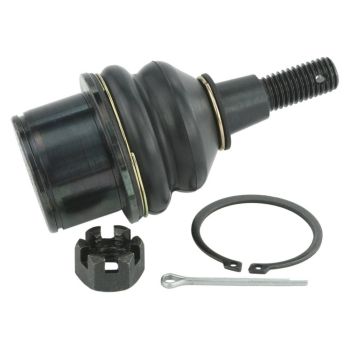 Febest Ball Joint Front Lower 3220-CTSIILF