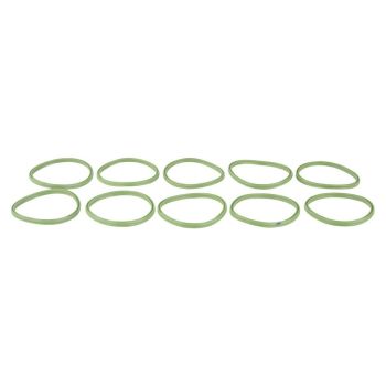 Febest Intake Hose Seal 10-Pack RINGAH-002-PCS10